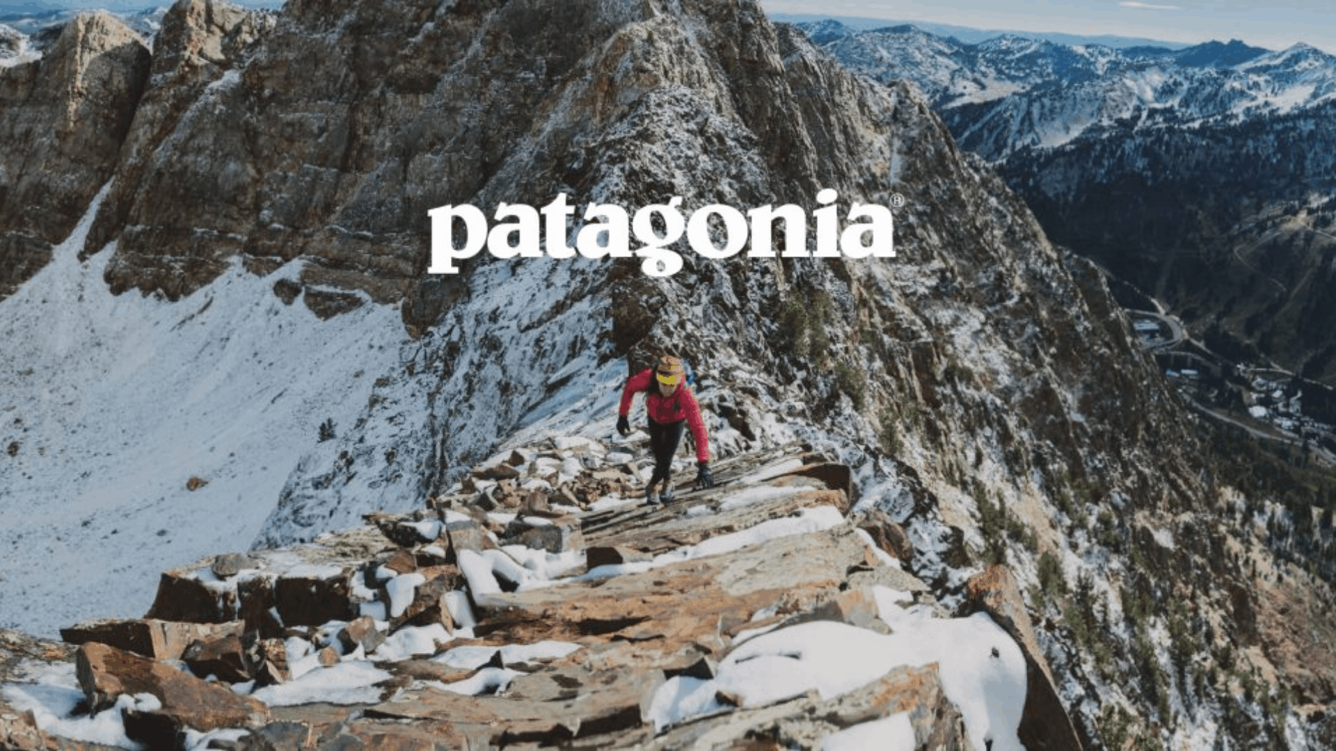 A Patagonia ad campaign